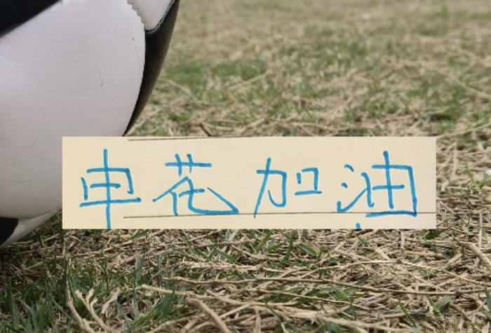 云开体育-如果没有罚分的话！申花应该是夺冠热门|上海申花|联赛|成都|中超|上海申花足球俱乐部_新浪体育_新浪新闻